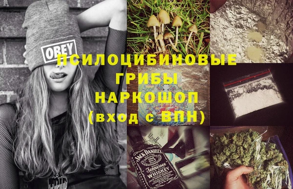 прущий лед Алзамай