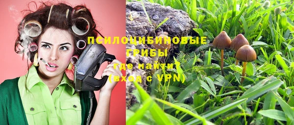 прущий лед Алзамай