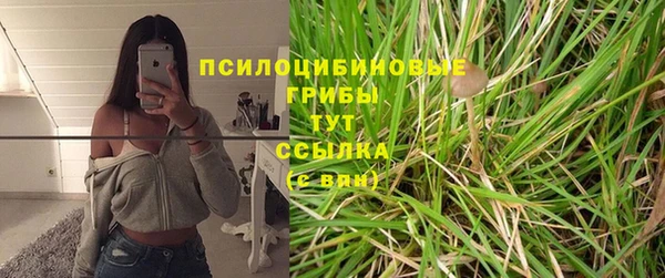 прущий лед Алзамай