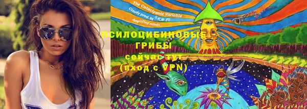 ECSTASY Абинск