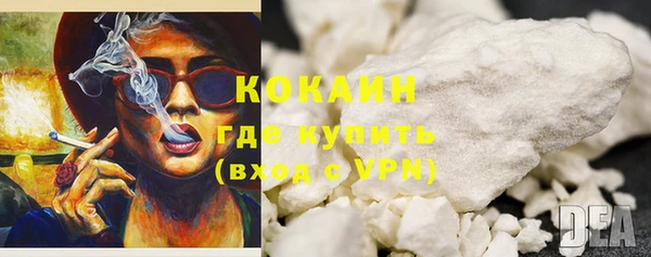 прущий лед Алзамай