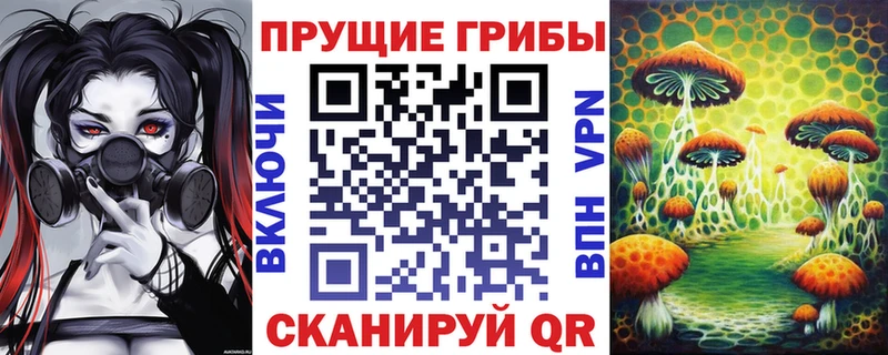 Псилоцибиновые грибы Psilocybine cubensis  магазин продажи   Сорочинск 